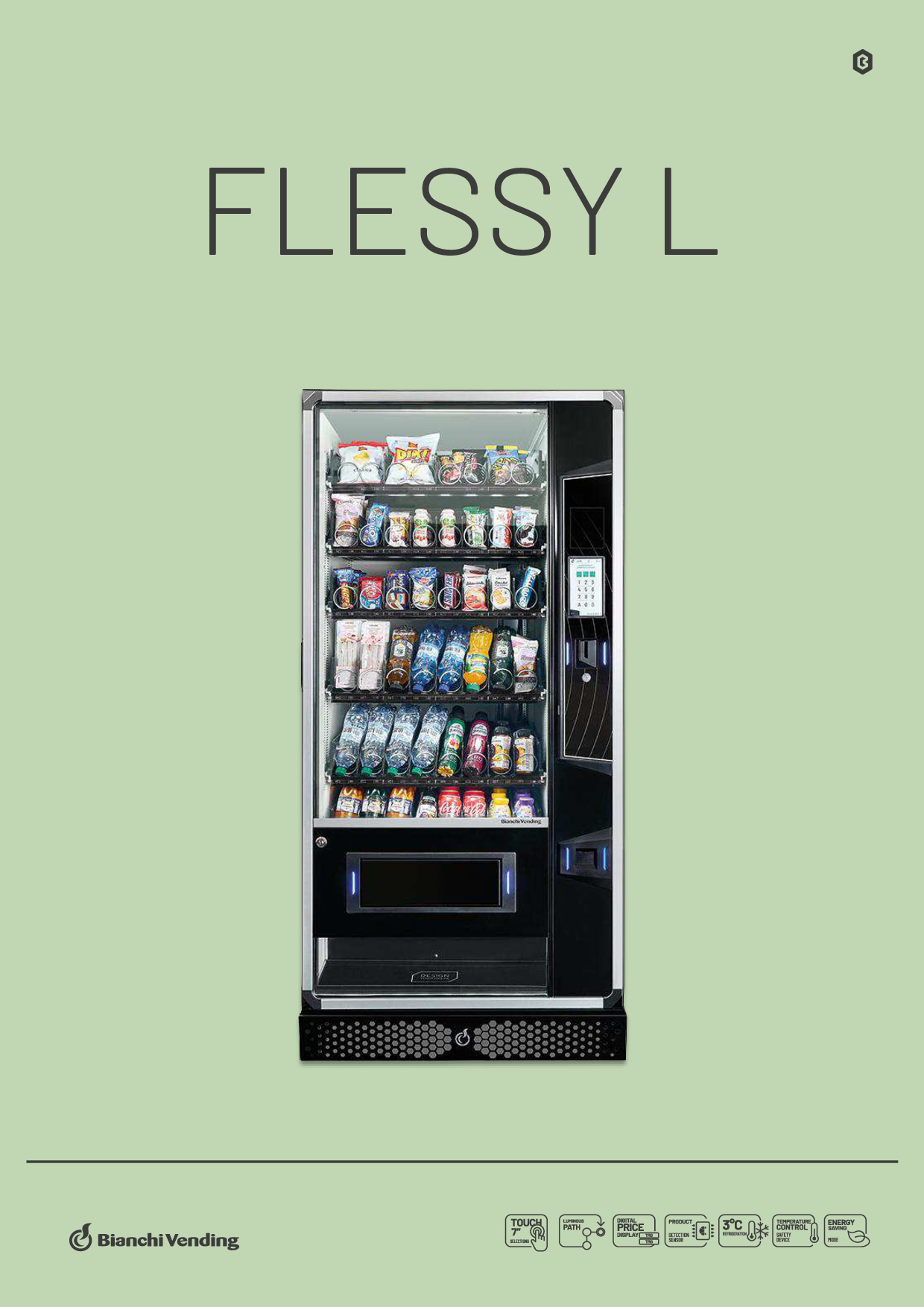 Flessy L